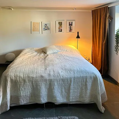 Mansion Flat With Garden Near And Centre